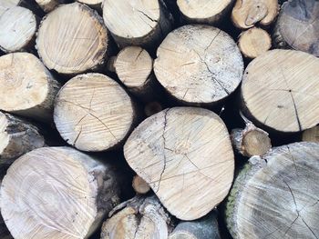Full frame shot of logs in forest