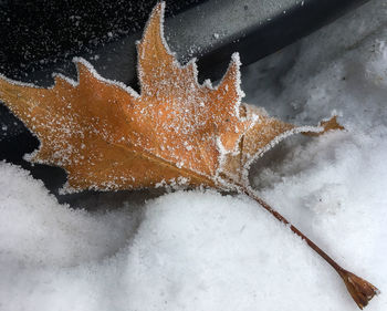 Close-up of splashing water