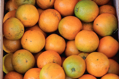 Fresh oranges in the market