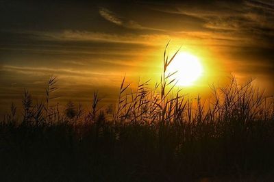 Scenic view of field against sky at sunset