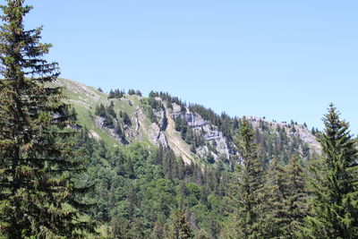 Panoramic view of trees and mountains against clear sky