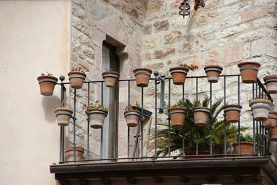 Potted plants on the wall