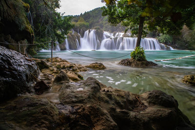 Scenic view of waterfall in forest