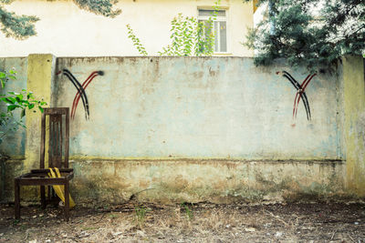 Plants growing on wall of old building