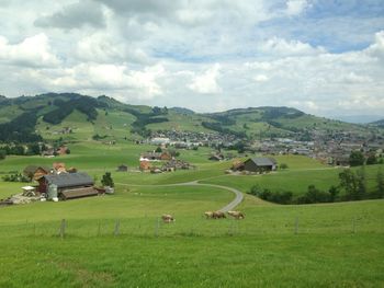 Scenic view of grassy field against cloudy sky