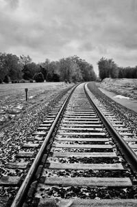 Surface level of railway tracks against trees