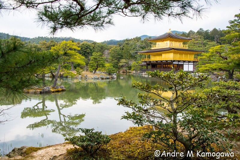 tree, architecture, reflection, history, scenics, travel destinations, lake, water, travel, nature, tranquil scene, plant, no people, outdoors, day, tranquility, beauty in nature, royalty, mountain, sky, ancient civilization