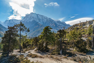 Scenic view of mountains against sky