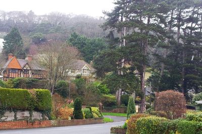 View of building with trees in foreground