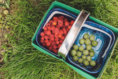 Directly above shot of gooseberries and raspberries in containers on grassy field