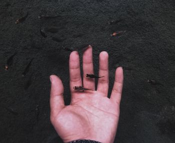 Close-up of person hand on land
