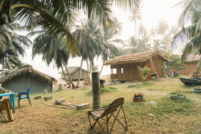 Chairs and palm trees by plants against sky