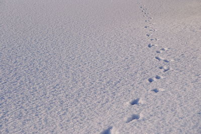 High angle view of footprints on snow