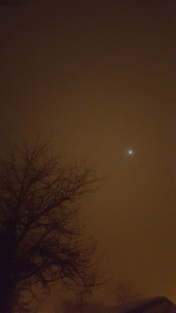 night, low angle view, silhouette, dark, moon, illuminated, tree, tranquility, nature, copy space, sky, bare tree, mystery, branch, beauty in nature, dusk, no people, tranquil scene, outdoors, light - natural phenomenon