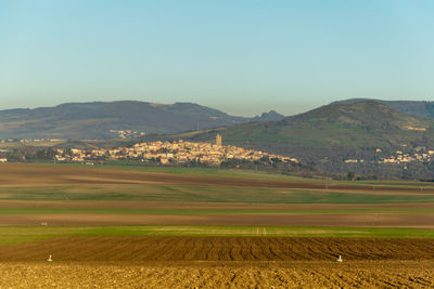 Scenic view of agricultural field against clear sky