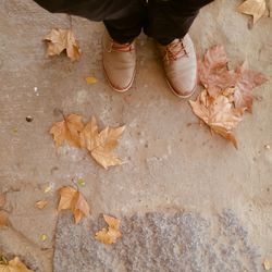 Low section of person in autumn leaves