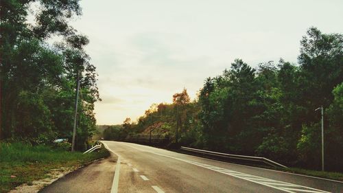 Empty road along trees and plants against sky