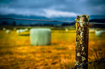 Close-up of barbed wire fence on field