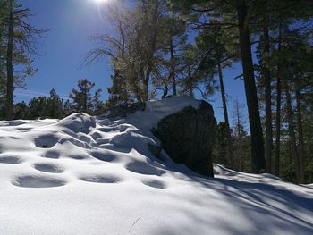 Snow covered landscape against sky