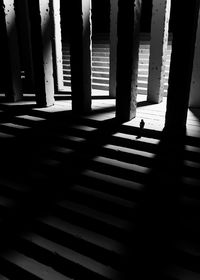 Shadow of person walking on floor
