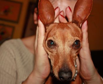 Portrait of dog with woman at home