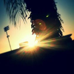 sun