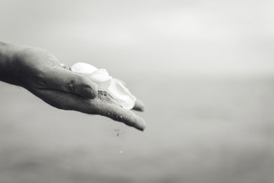 Close-up of hand holding wet leaf