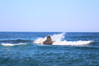 Scenic view of sea against clear sky