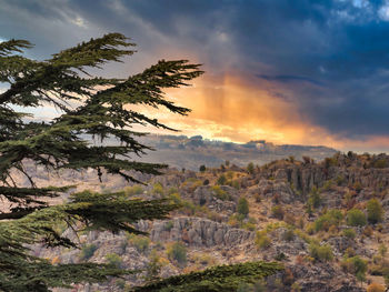 Scenic view of landscape against sky during sunset