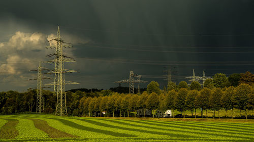 Trees on field against sky