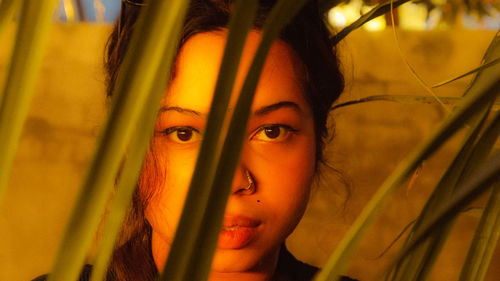 Woman looks through trees