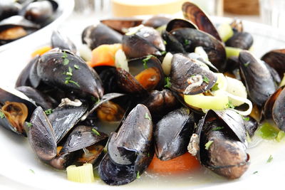 mussel