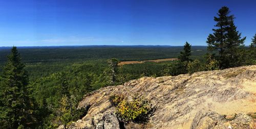 Scenic view of landscape against clear blue sky