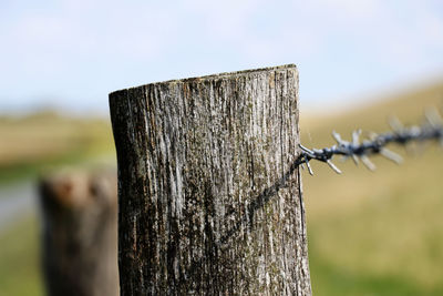 Wooden stake of a fence on a farm - close up