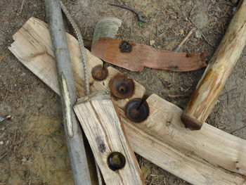 High angle view of log on wood in forest