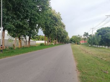 Empty road by trees in city against sky