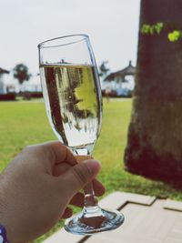 Close-up of hand holding wine glass