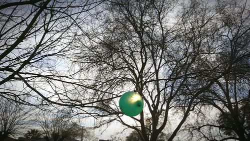 Low angle view of bare tree against sky