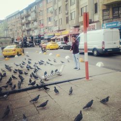 Cars on street in city