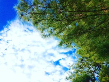 Low angle view of tree against cloudy sky