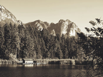 Scenic view of lake by trees against clear sky