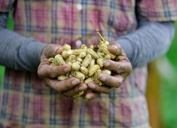 Close-up of man holding peanuts