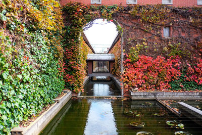 Bridge over lake during autumn