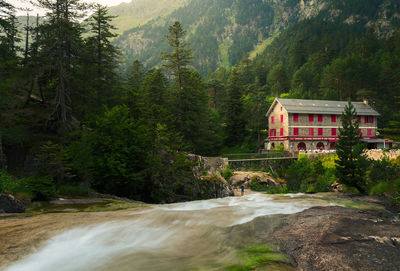 Scenic view of river amidst trees in forest