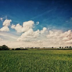 Scenic view of field against cloudy sky