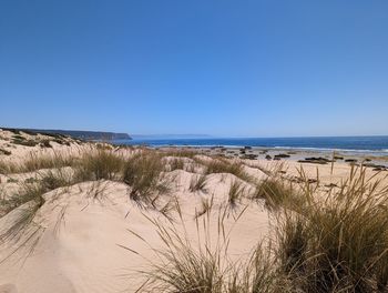 Scenic view of beach against clear blue sky