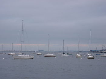 Sailboats in sea against sky