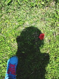 Low section of person standing on grassy field