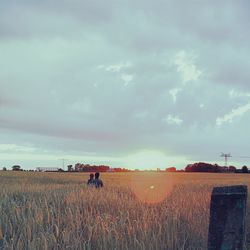 Scenic view of field against cloudy sky