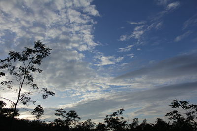 Low angle view of silhouette trees against sky